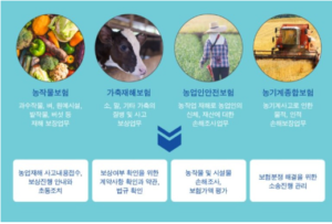 손해평가사-합격률-채점결과-22년도-제8회